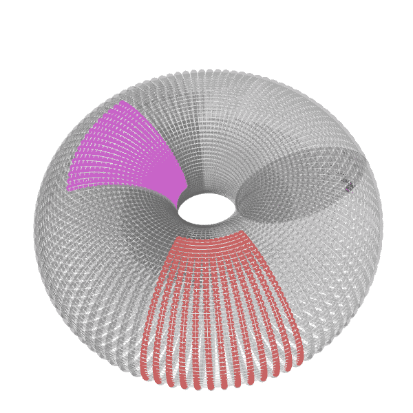 walking in a torus